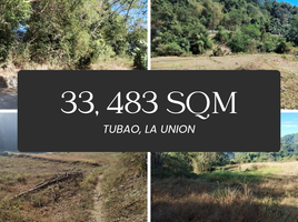  Land for sale in La Union, Ilocos, Tubao, La Union