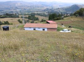  Terreno (Parcela) en venta en Choconta, Cundinamarca, Choconta