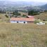  Land for sale in Choconta Cundinamarca, Choconta