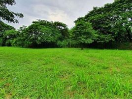  Land for sale in Rizal, Calabarzon, Antipolo City, Rizal