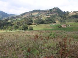  Terreno (Parcela) en venta en Choconta, Cundinamarca, Choconta