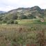  Land for sale in Choconta, Cundinamarca, Choconta