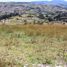  Land for sale in Choconta, Cundinamarca, Choconta