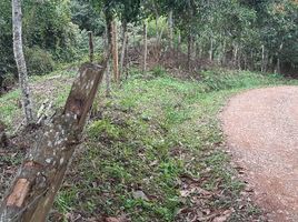  Terreno (Parcela) en venta en La Cumbre, Valle Del Cauca, La Cumbre