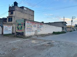  Grundstück zu vermieten in Zinacatepec, Mexico, Zinacatepec