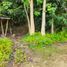  Land for sale in Bohol, Central Visayas, Sagbayan, Bohol