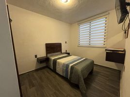 1 Schlafzimmer Wohnung zu vermieten in Toluca, Mexico, Toluca