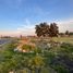  Land for sale in Alvaro Obregon, Michoacan, Alvaro Obregon
