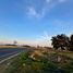  Land for sale in Alvaro Obregon, Michoacan, Alvaro Obregon