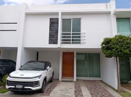 3 Habitación Departamento en alquiler en Jalisco, Guadalajara, Jalisco