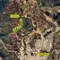  Land for sale in Huancas, Amazonas, Huancas, Chachapoyas, Amazonas