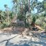  Land for sale in Acapulco, Guerrero, Acapulco