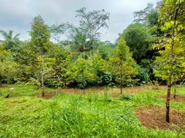  Land for sale in Baturaden, Banyumas, Baturaden