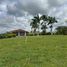  Land for sale in Pereira, Risaralda, Pereira