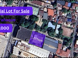  Land for sale in Paranaque City, Southern District, Paranaque City