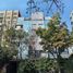 3 Habitación Apartamento en alquiler en Alvaro Obregon, Ciudad de México, Alvaro Obregon, Ciudad de México, México