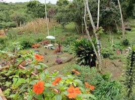 7 Habitación Villa en venta en Valle Del Cauca, La Cumbre, Valle Del Cauca