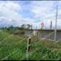  Land for sale in Naranjito, Guayas, Naranjito, Naranjito