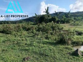  Land for sale in Quezon, Calabarzon, Mauban, Quezon