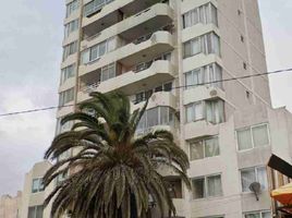 2 Bedroom Condo for rent in Chile, Antofagasta, Antofagasta, Antofagasta, Chile