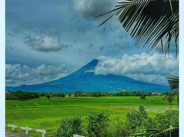  Grundstück zu verkaufen in Albay, Bicol, Malinao, Albay