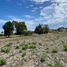  Land for sale in Anda, Ilocos, Anda