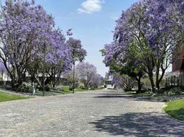  Land for sale in Zapopan, Jalisco, Zapopan, Jalisco