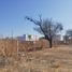  토지을(를) Irapuato, 구아나후토에서 판매합니다., Irapuato