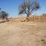  Land for sale in Irapuato, Guanajuato, Irapuato