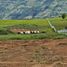  Land for sale in Patia, Cauca, Patia