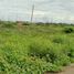  Land for sale in Playas, Guayas, General Villamil Playas, Playas