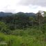  Land for sale in Pacto, Pichincha, Pacto