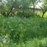  Land for sale in Atenco, Mexico, Atenco