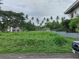  Terrain for sale in Quezon, Calabarzon, Tiaong, Quezon