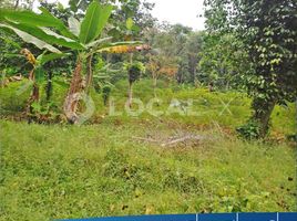  Land for sale in Pacet, Cianjur, Pacet