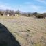  Land for sale in Melipilla, Santiago, Maria Pinto, Melipilla
