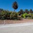  Land for sale in Chile, Coquimbo, Elqui, Coquimbo, Chile