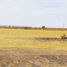  Land for rent in Zapopan, Jalisco, Zapopan