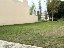  Land for sale in San Andres Cholula, Puebla, San Andres Cholula