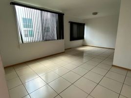 3 Bedroom Apartment for rent in Leon, Guanajuato, Leon