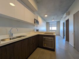 누에 보 레온PropertyTypeNameBedroom, 몬테레이, 누에 보 레온