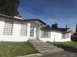 1 Bedroom Apartment for rent in San Gregorio Atzompa, Puebla, San Gregorio Atzompa