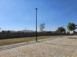  Grundstück zu verkaufen in Atlixco, Puebla, Atlixco, Puebla