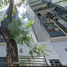 Appartement 3 chambre à vendre à Miguel Hidalgo, Mexico City, Miguel Hidalgo, Mexico City
