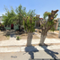 2 Habitación Villa en venta en Celaya, Guanajuato, Celaya