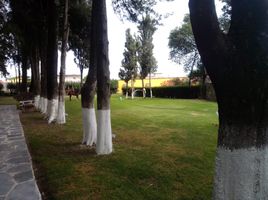 Terrain à vendre à San Jeronimo Tecuanipan, Puebla, San Jeronimo Tecuanipan, Puebla