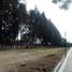Terrain à vendre à San Jeronimo Tecuanipan, Puebla, San Jeronimo Tecuanipan, Puebla