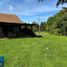  Land for sale in Chile, Osorno, Osorno, Los Lagos, Chile