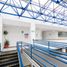8,065 m² Office for rent in Miguel Hidalgo, Mexico City, Miguel Hidalgo