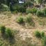  Terreno (Parcela) en venta en Los Ríos, Mariquina, Valdivia, Los Ríos